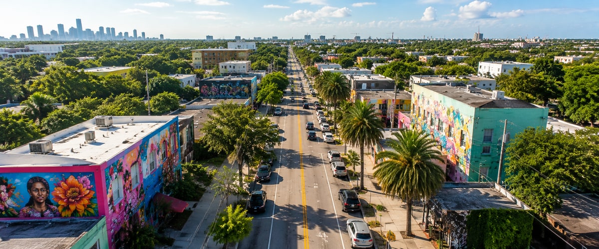 Colorful Houston neighborhood street with murals